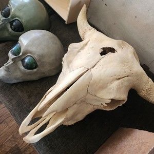 Meet your Posher, Dallas